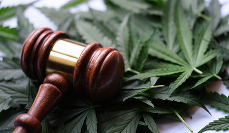 Is CBD oil legal in the USA