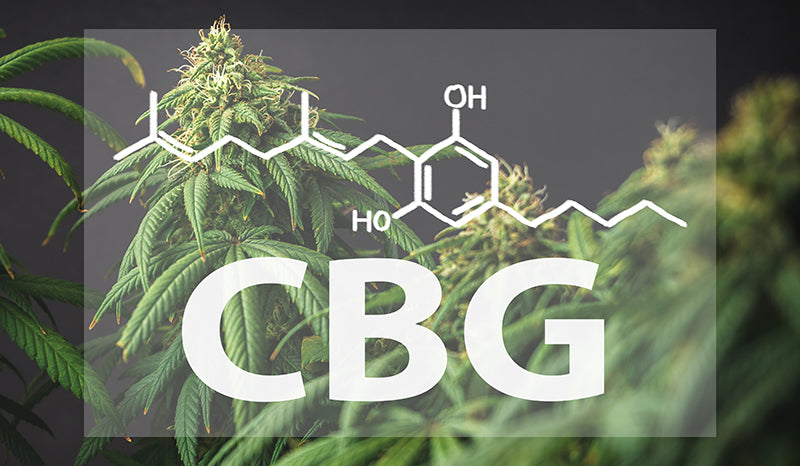 What is CBG?