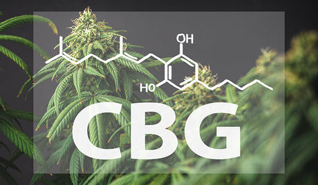 What is CBG?