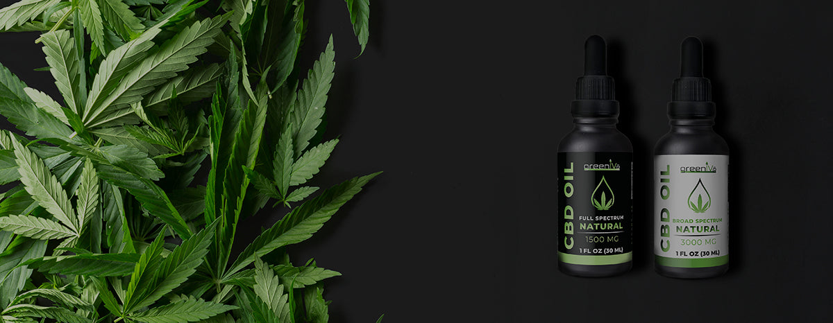 GreenIVe CBD OILS Collection - GreenIVe CBD